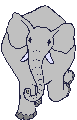 elefant4.gif